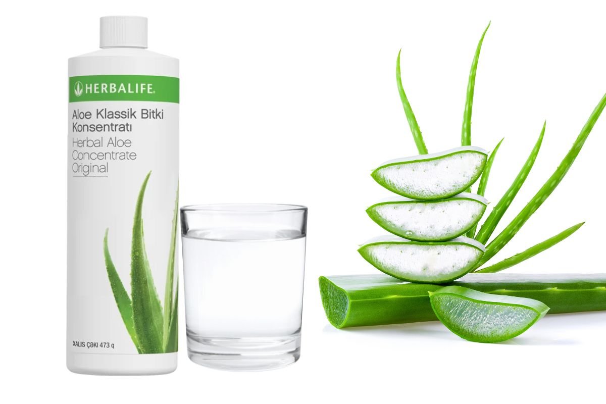 Herbalife Aloe vera içkisi aloe bitgisindən hazırlanır